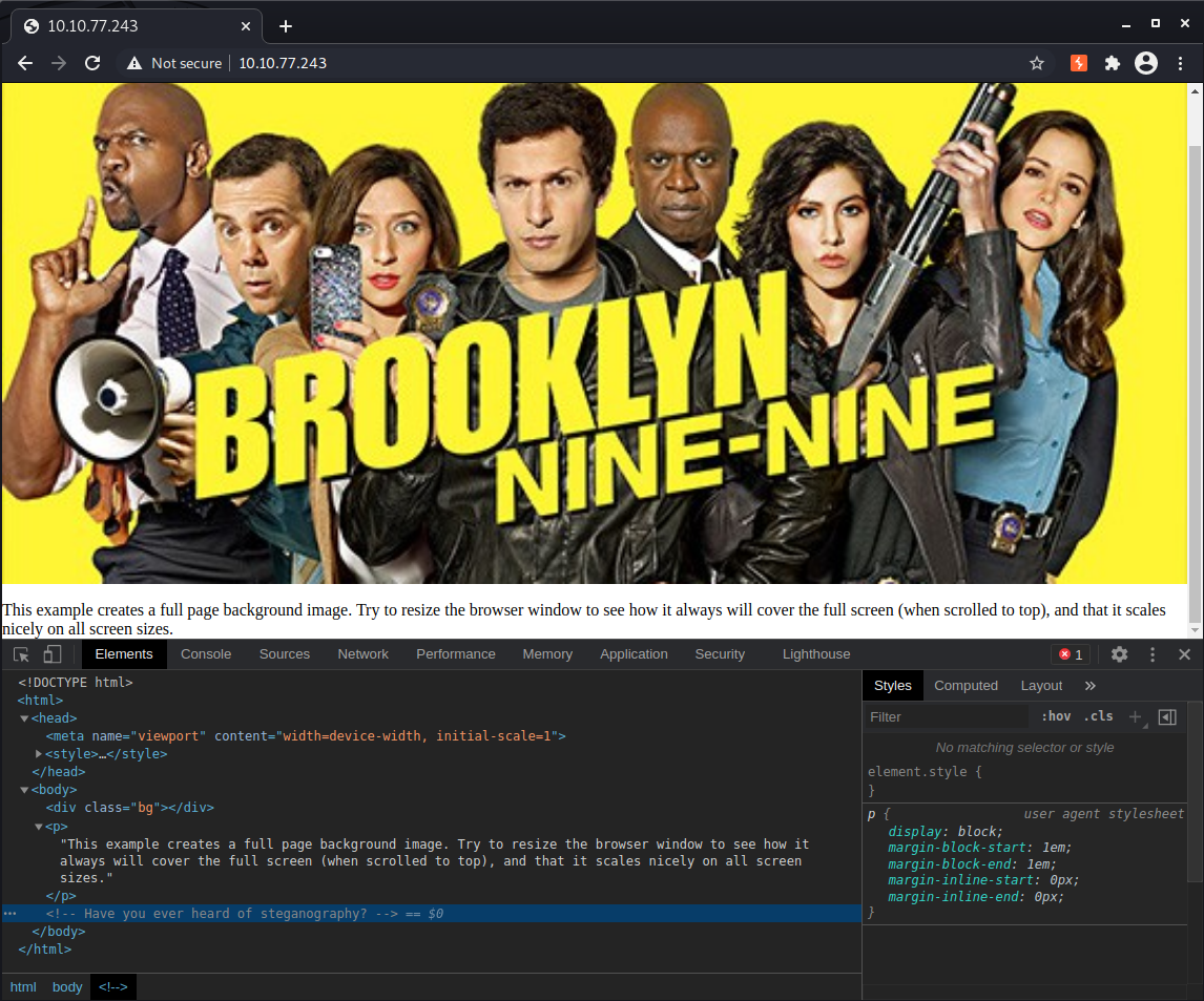 Brooklyn Nine Nine homepage