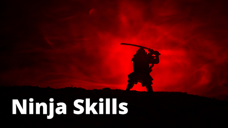 THM: Ninja Skills