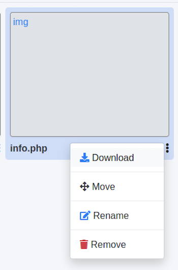 Executing the webshell