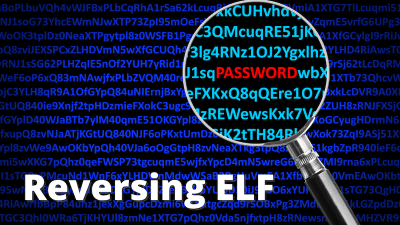 THM: Reversing ELF