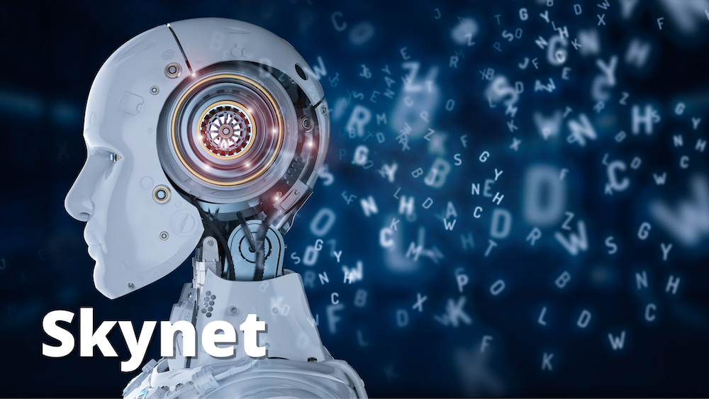 THM: Skynet